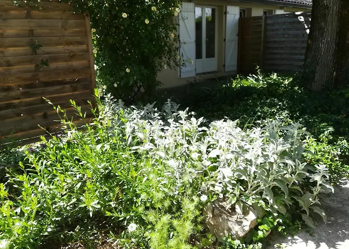 Chez Karine Et Julien Cahors