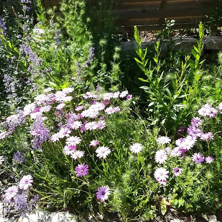 Chez Karine Et Julien Appartamento