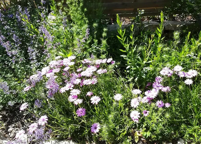 Chez Karine Et Julien Appartement